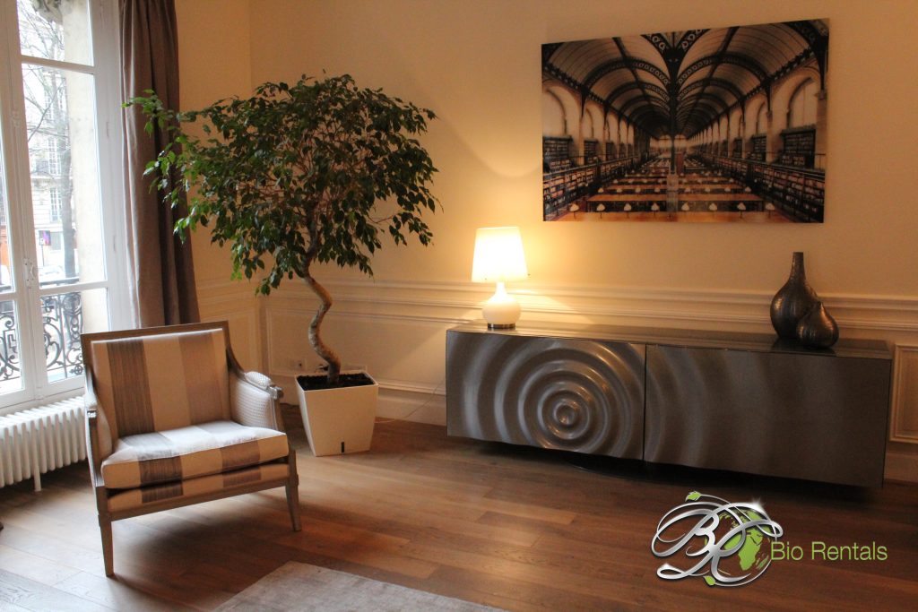 Bio Rentals Paris Monceau Location meuble courte dure
