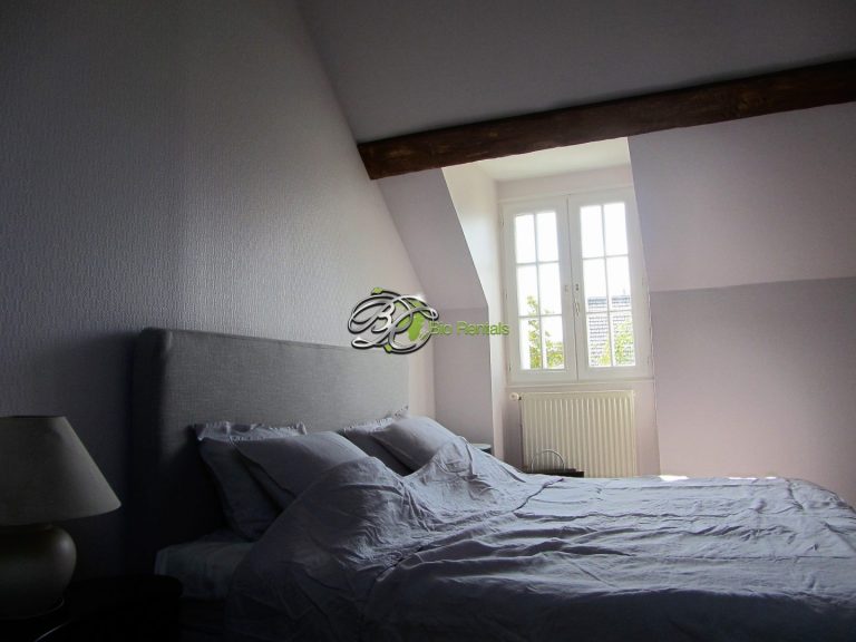 bio-rentals-green-flat-768x576